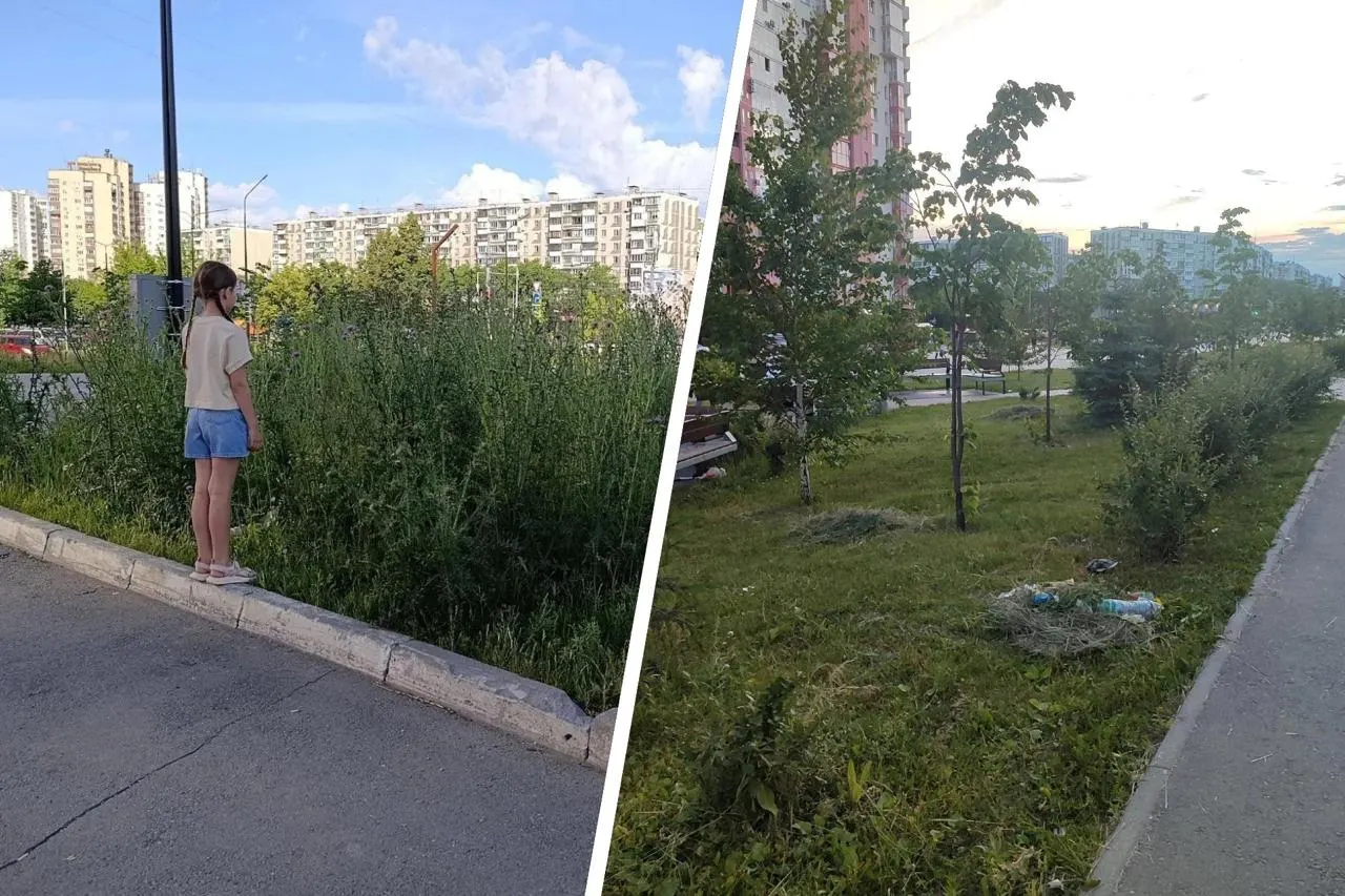 В сквере на улице 40-летия Победы убрали высокую траву, но жители заметили: покос оставили на газонах в виде куч, мусор не вывезли.