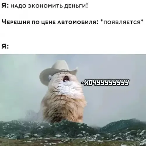 В&nbsp;Челябинске начался сезон черешни&nbsp;— цены от&nbsp;500&nbsp;до&nbsp;900&nbsp;рублей