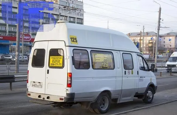 Жители Кулуево и соседних деревень жалуются на переполненные микроавтобусы и ранний отъезд последнего рейса; просят увеличить вместимость транспорта и перенести последний рейс на 21:30.