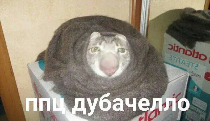 Начало отопления по районам региона: тепло начнут подавать в Кусинском районе 15 сентября, в Озерске — 16 сентября, в остальных населенных пунктах даты пока не уточнены.