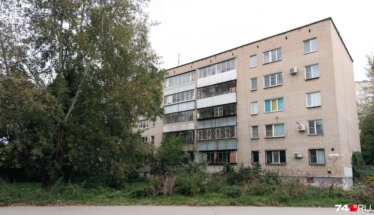 Жительница Челябинска обвиняется по статье за незаконную рубку кустарников возле жилого дома; спор вокруг обрезки сирени и размеры ущерба.