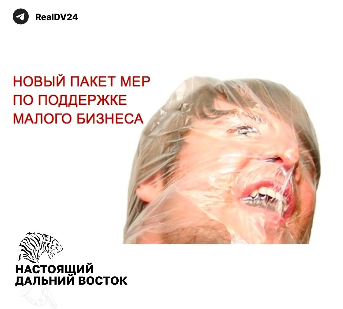Федеральная налоговая служба направила регионам пакет рекомендаций для увеличения налоговых поступлений: пересмотр льгот, расширение налогооблагаемой недвижимости и усиление контроля за использованием земель.