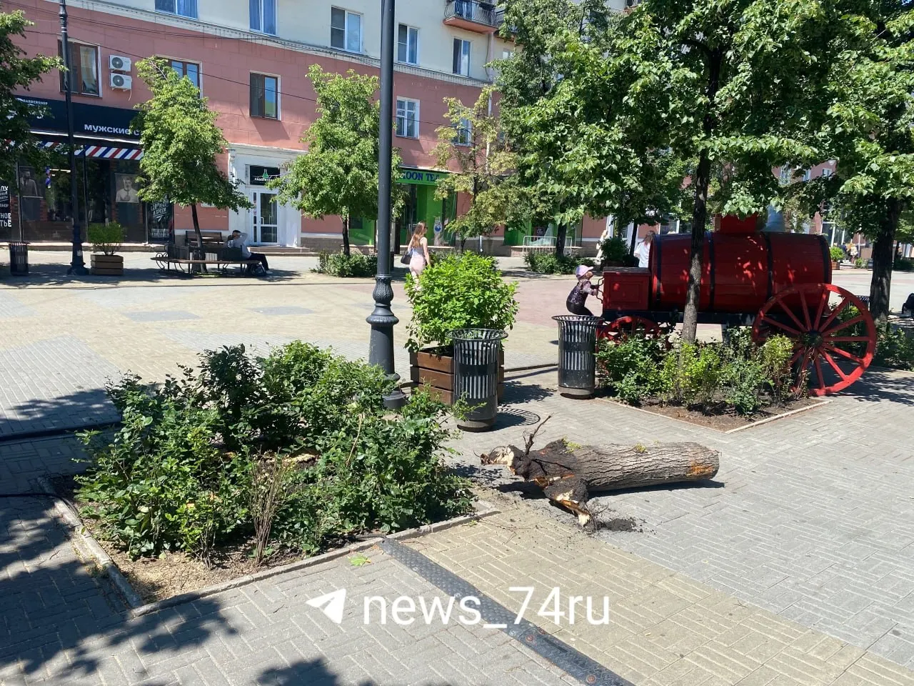 В центре Челябинска на улице Кировка срубили четыре сухих дерева по разрешению администрации. На их месте обещают высадить новые липы осенью.