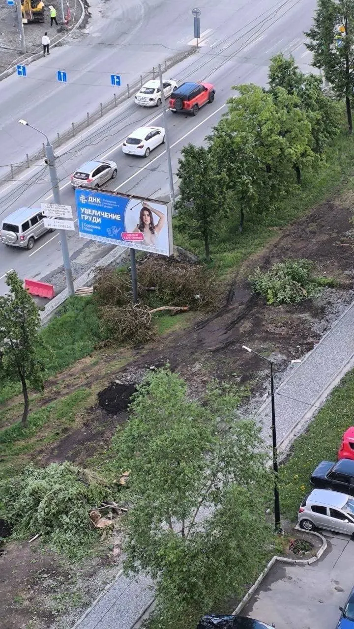 Во время капитального ремонта на участке улицы планируют удалить 119 взрослых деревьев. Власти утверждают, что снос необходим для организации непрерывной пешеходной связи, жители опасаются за потерю тени и зелёного облика улицы.
