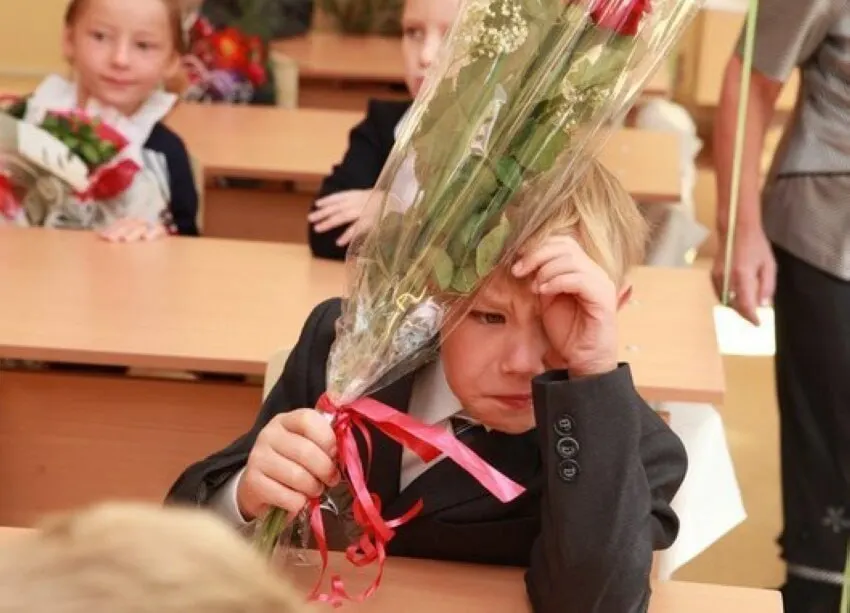 Заместитель главы Минпросвещения Владимир Желонкин сообщил, что 11 лет — оптимальная продолжительность школьного образования; идей сокращать или увеличивать срок сейчас нет, а все стандарты будут строиться с расчётом на 11 классов.