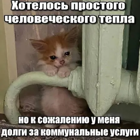 Суд подтвердил, что исковая давность в три года защищает должников от принудительного исполнения требований по старым долгам за капитальный ремонт. Решение важно для покупателей вторичного жилья и наследников.