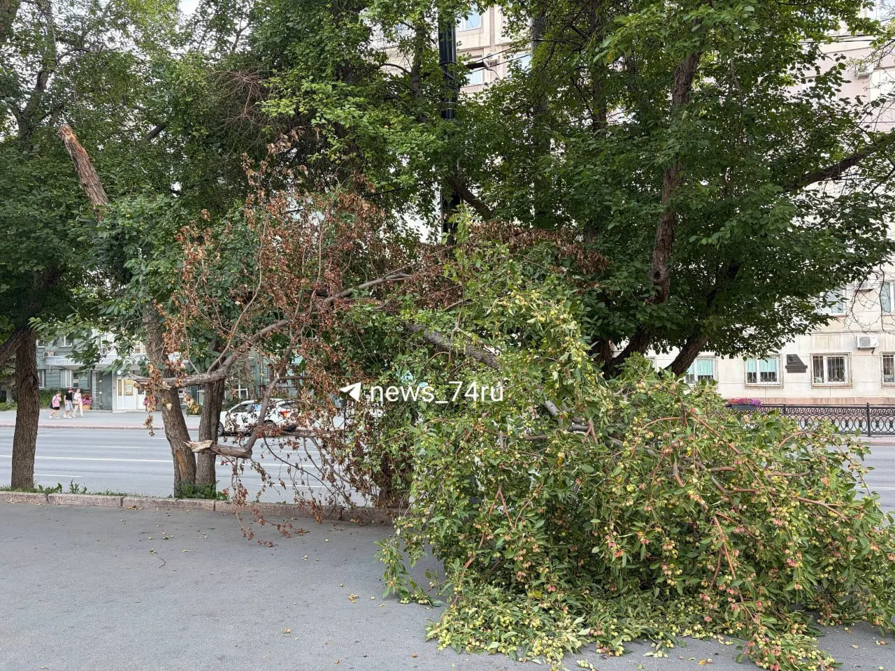 Сильный ветер в Челябинске повредил дерево на тротуаре возле ТЮЗа. Читатели присылают фото последствий непогоды.
