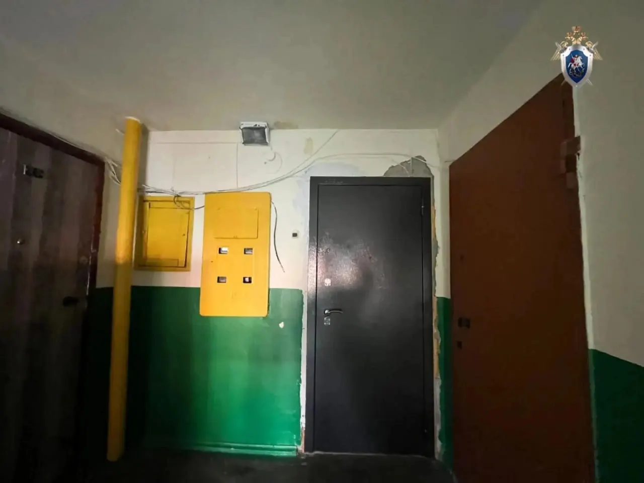 Пьяный челябинец запер медиков в своей квартире и угрожал им пистолетом; медики освобождены, возбуждено уголовное дело.