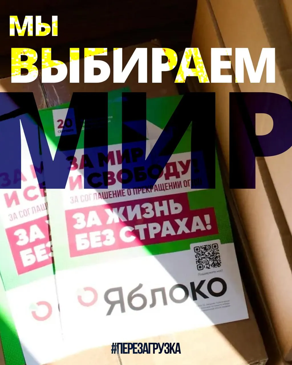 По всей России кампания набирает обороты: 53 региона, 135 кандидатов и апелляция по списку; сторонники активизируют участие и солидарность.
