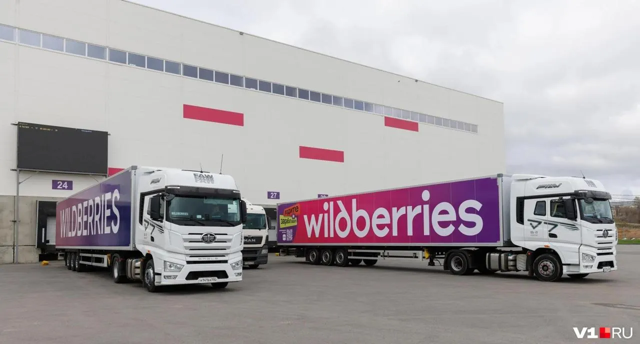 Атаки дронов на склады Wildberries идут с июля. В топ‑1000 продавцов по объёму продаж за июнь попало три компании из Челябинской области — вместе они получили 431 млн руб. Мы изучили, кто в лидерах и как бизнес переживает удары и перестраивает логистику.