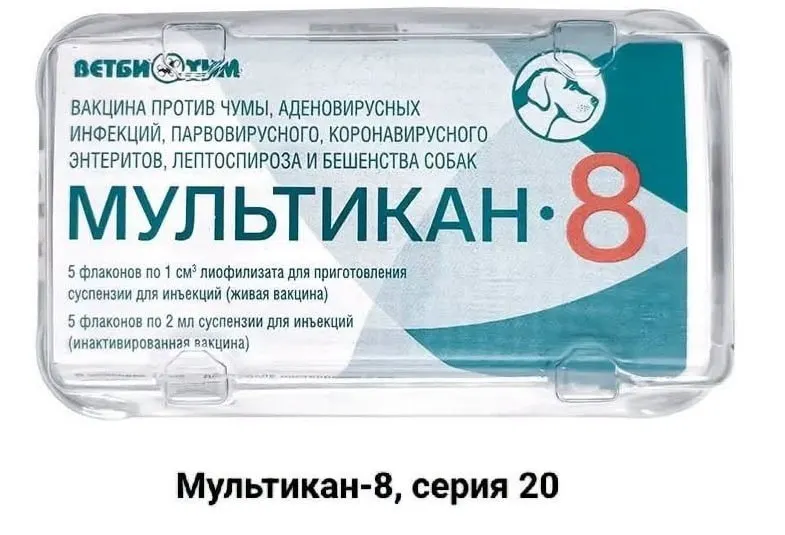 Обратившись к общественности, владельцы погибших собак требуют проверки обстоятельств смертей после прививок и возможного давления со стороны производителя.