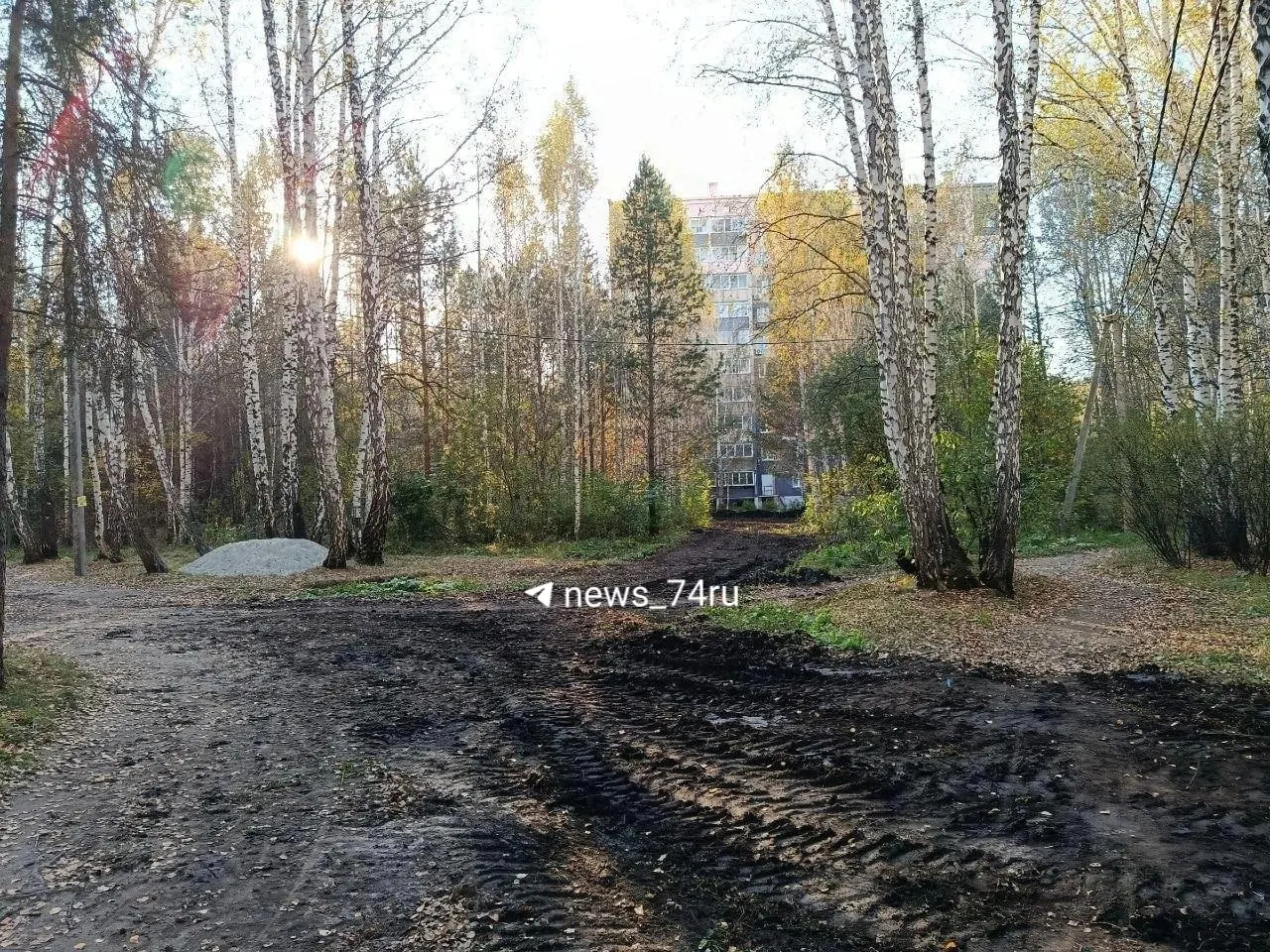 Местные жители сообщают о прокладке новой дороги в городском лесу без разрешений; власти проводят проверки, правоохранительные органы уже выезжали на место.