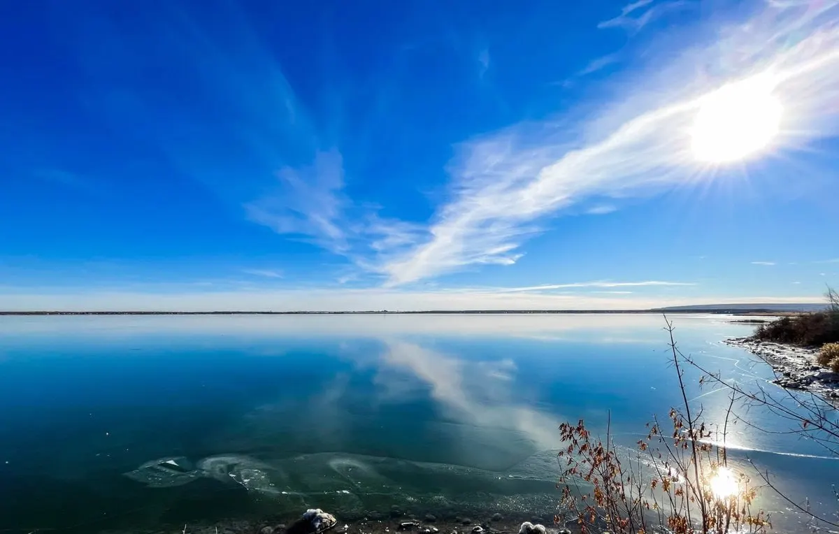Жители и садоводы жалуются на массовый вылов: арендатор водоёма якобы вылавливает мальков и взрослых рыб, что приводит к сокращению запасов озера.
