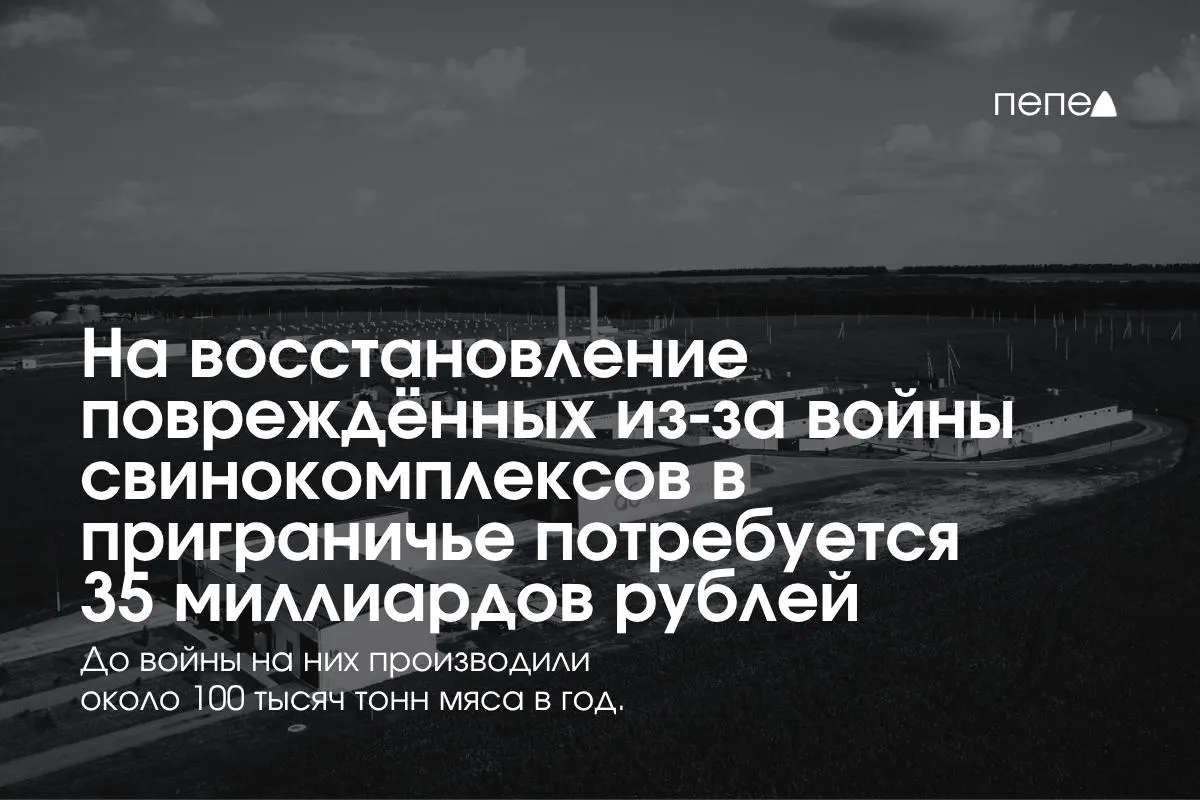 Восстановление индустрии свиноводства в приграничных регионах оценивается в 35 млрд рублей; речь идёт о Белгородской, Курской и Брянской областях.