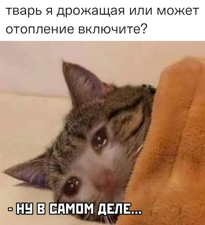 Отопительный сезон идёт уже свыше недели, но внутри домов и учебных заведений Челябинска все ещё прохладно — температура в некоторых квартирах опускается до примерно 15°C.
