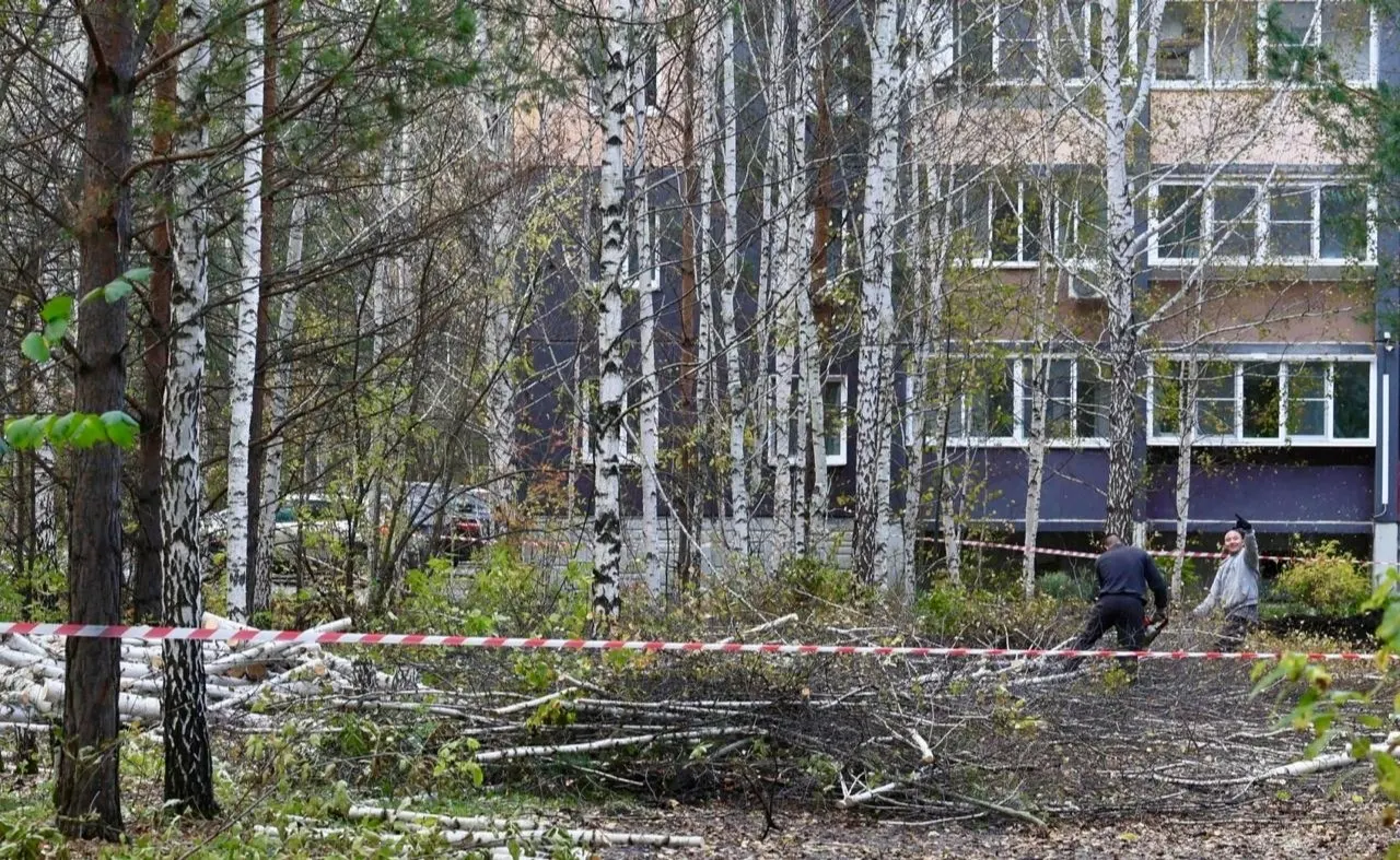 За домом №85 на улице Хариса Юсупова началась вырубка берёз и подготовка участка под строительство. В мэрии спорят: разрешение не требуется, проверка продолжается.